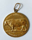 Ancienne Oude Medaille 1951 Old Medal Prijskamp Jaarmarkt Vee Rund Stier Bull Ministerie Van Landbouw Agriculture Animal - Autres & Non Classés