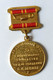 Ancienne Oude Medaille Old Medal 1870 - 1970 Vladimir Lenin Propaganda Communisme Soviet Russia USSR CCCP - Andere & Zonder Classificatie