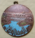 Egypt 60's ..V Rare Colored Bronze Medal Of The High Dam ..president Nasser . 19 Gm..tokbagm - Royaux / De Noblesse