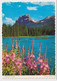 AK 07147 CANADA - Beautiful Canada - Cartes Modernes