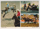 AK 07172 CANADA - Manitoba - Stampede Time - Other & Unclassified