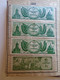 D185413  Hungary -   Hungarian-Soviet Society  -  Magyar-Szovjet Társaság -Membership Card 1952 -Lot Of 9 Tax Stamps - Fiscaux