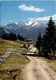 Lenzerheide - Rückblick Vom Weg Nach Tgantieni Auf Bergünerstöcke (39) - Bergün/Bravuogn