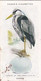 British Birds & Their Eggs 1939  - 12 Heron - Ogden's  Cigarette Card - Original - Wildlife - Ogden's