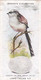 British Birds & Their Eggs 1939  - 46 Long Tailed Tit - Ogden's  Cigarette Card - Original - Wildlife - Ogden's