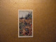 Delcampe - Lot De 34 Chromos Will's Cigarettes - Life In The Tree Tops  (Voir Photos) - Format 3,5 Cm X 6,5 Cm Environ. - Wills