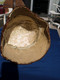 Cappello Semisferico In Piume Di Fagiano Anni 20  - Cod 25-29 - Before 1900