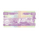 Billet, Burundi, 100 Francs, 2006, 2006-05-01, KM:37e, NEUF - Burundi