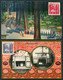 1929 Japan Rebuilding Of Ise Shrine Set On 2 Commemorative Datestamp (LCD 126) Postcards + Folder - Cartas & Documentos