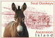 ASCENSION ISLAND 2001 Tourism: Set Of 10 Postcards MINT/UNUSED - Ascension (Insel)