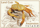 Delcampe - ASCENSION ISLAND 2001 Tourism: Set Of 10 Postcards MINT/UNUSED - Ascension (Ile)