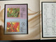 Delcampe - China Chine 2013 Stamp Postage Stamps Book With Stamps, Coin, Disc And Phone Card - Nuevos