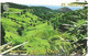 St. Helena - C&W - GPT - Views Of St. Helena #2 - Sandy Bay Ridges - 325CSHE - 15£, 1.200ex, Used - Isla Santa Helena