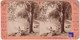 Lac Du Bourget Arrivée à Bordeau Photo Stéréoscopique 17,6x8,8cm Vers 1890 - Alpes Savoie Photographie B.K. Paris C5-30 - Photos Stéréoscopiques