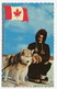 AK 010011 CANADA - Royal Canadian Mounted Police Constable Checking Hartness On Lead Dog - Cartes Modernes