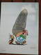 Asterix - Uderzo - Goscinny - 9 Stuks - Paquete De Libros