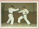 BE.- STICKER, Vechtsportplaatje.  Nummer 1740. Gevechtssport,- Aanklevend, Selbstklebend, Self Adhesive, Autocollant. - Martial Arts