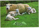 Groeten Uit Workum - (Friesland, Nederland / Holland) - Lammeren En Schaap - Nr. L 3354 - Workum