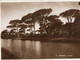 RAVENNA - PINETA  - VERA FOTO - F.G. - Ravenna