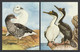 FALKLAND ISLANDS 2010 Wildlife: Set Of 2 Postcards MINT/UNUSED - Falkland Islands