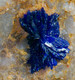 Mineral - Azzurrite (Cap Garonne, Le Pradet, Francia) - Lot. 677 - Minéraux