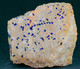 Mineral - Azzurrite (Cap Garonne, Le Pradet, Francia) - Lot. 677 - Minéraux