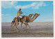 KUWAIT The Camel Race In Desert Vintage Photo Postcard CPA (53269) - Kuwait