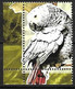 Guinea Bissau - MNH ** 2005 :     Grey Parrot -  Psittacus Erithacus + Picture From Same Bloc - Parrots