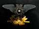1996 Military Metal Insignia For Soldiers Of The Armed Forces Of The Yugoslav Army (SiCG) - Aviation
