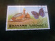 Manama - Dependency Of Ajman - Qatar - Ile De Bahrein - Perdrix - Papillon - Val 30 Dirhams - Polychrome - Année 1972 - - Grey Partridge