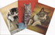 Lot De 3 Cartes De Chats - 2 Cpsm Gd Format Dentelées - 1 Cpm - - Katzen