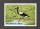 Ghana 1991 Old Sheet Birds/Stork Stamp (Michel Block 181) Nice MNH - Ghana (1957-...)