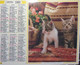Calendrier Almanach Oberthur Facteur 1989 Chat Chaton Chien Chiot Calvados - Grand Format : 1981-90