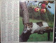 Calendrier Almanach Cartier Bresson Facteur 1984 Chat Chaton Calvados - Grand Format : 1981-90