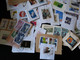 EUROPE Lot De + De 500 Enveloppes + 750 Grs De Timbres Sur Fragments + Plaquettes De Timbres à Thèmes - Kilowaar (min. 1000 Zegels)