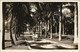 PC US, FL, PALM BEACH, THE LAKE TRAIL, Vintage REAL PHOTO Postcard (b32176) - Palm Beach