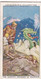 Legends Of Britain 1936  - 41 Sleeping Dragons Of Snowden - Churchman Cigarette Card - Original - - Churchman