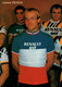 Cyclisme - Laurent Fignon, Champion De France 1984 - Equipe Renault Elf - Wielrennen