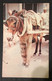 Postcard British Honduras , Donkey 1972 - Belize