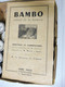 Films BAMBO ENFANT DE LA BROUSSE  (27 Bobines De Vues Sur Film Ininflammables) Origine Bonne Presse - Filmspullen: 35mm - 16mm - 9,5+8+S8mm