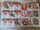 Delcampe - ALBUM PANINI MEGA CRACKS  2007/08 COMPLET  1er CHOIX. - Trading Cards