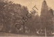 Postkaart-Carte Postale - TIEGEM Zicht Op Het Bosch (C1464) - Anzegem