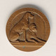 Ancienne Medaille Exposition Internationale De Paris 1939 Societe Centrale Canine Chien Dog Hond Old Medal France - Firma's