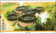 China 2021-8 “World Material Cultural Heritage-The Storied Building Of Fujian Tulou" MNH,VF Post Fresh - Unused Stamps