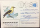 RUSSIA 1994 POSTLY ISSUE COVER, NICE BIRD - Briefe U. Dokumente