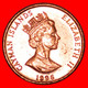 * GREAT BRITAIN (1992-1996): CAYMAN ISLANDS ★ 1 CENT 1996! BIRD MINT LUSTRE! LOW START ★ NO RESERVE! - Cayman (Isole)