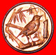 * GREAT BRITAIN (1999-2017): CAYMAN ISLANDS ★ 1 CENT 2008! BIRD MINT LUSTRE! LOW START ★ NO RESERVE! - Iles Caïmans