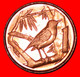* GREAT BRITAIN (1999-2017): CAYMAN ISLANDS ★ 1 CENT 2013! BIRD LOW START ★ NO RESERVE! - Cayman (Isole)