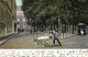 S-Gravenhage (La Haye) - Tramway Marchand "pionnière 1905" - Den Haag ('s-Gravenhage)