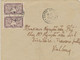 FRENCH INDOCHINA / SOUTH VIETNAM 1949, 60 C Purple Relief Of A Dancing Apsara (vertical Pair) On Inland Cover - Storia Postale